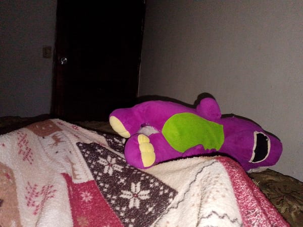 Silly selfies and a stuffed dinosaur in a cozy indoor setting