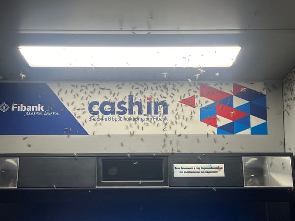 Insect swarm invades Bulgarian bank ATM vestibule in Burgas