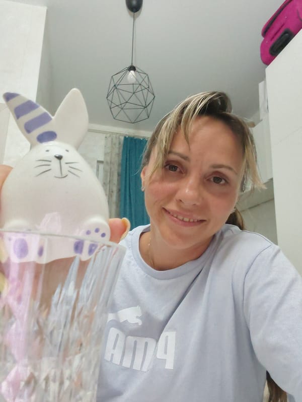 Selfies and a curious calico cat in a Sochi interior