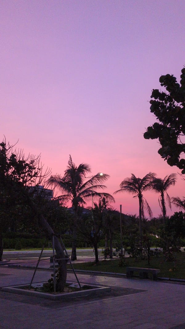 Twilight scenes with palm trees captured across Vietnam