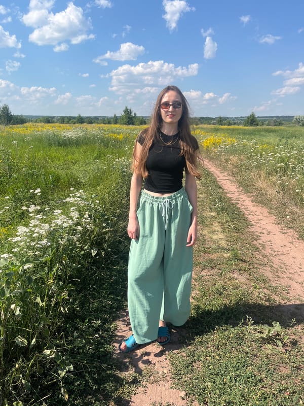 Afternoon in a wildflower meadow, sunny skies and open fields