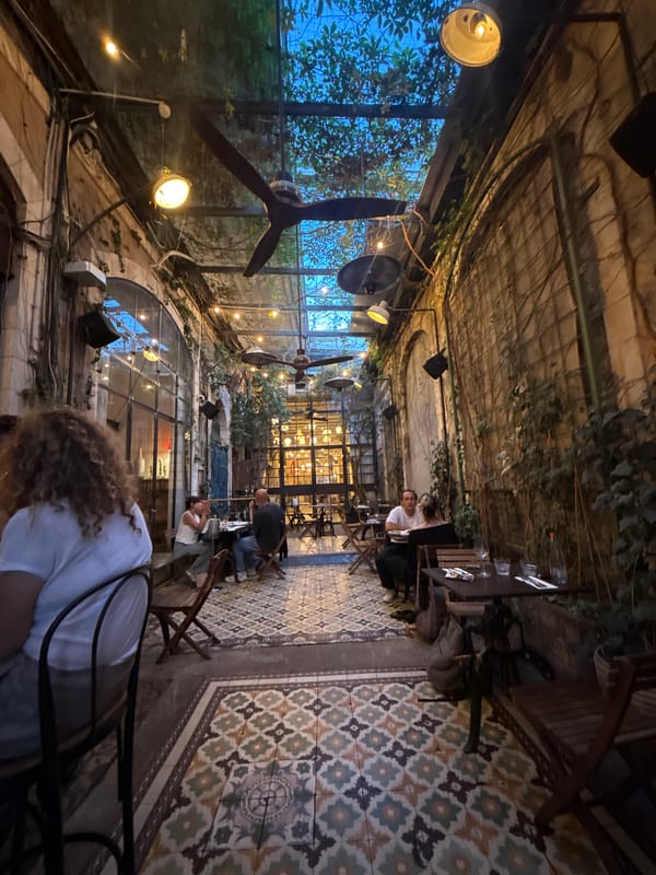 Dinner and wine at a Florentin courtyard restaurant, Tel Aviv