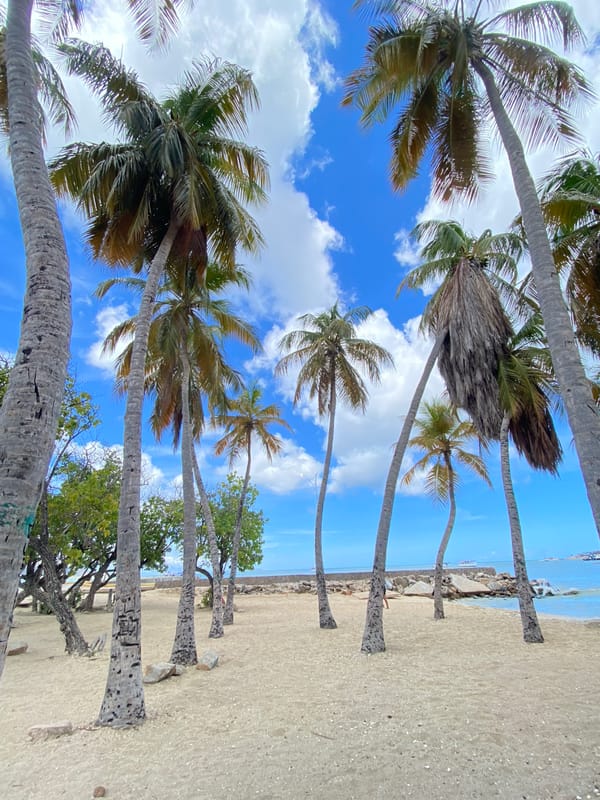 Beach scenes documented along Juan Griego coastline