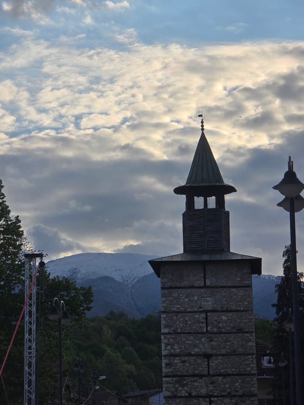 Spring blooms documented across Berkovitsa, Bulgaria in 10-minute photo series