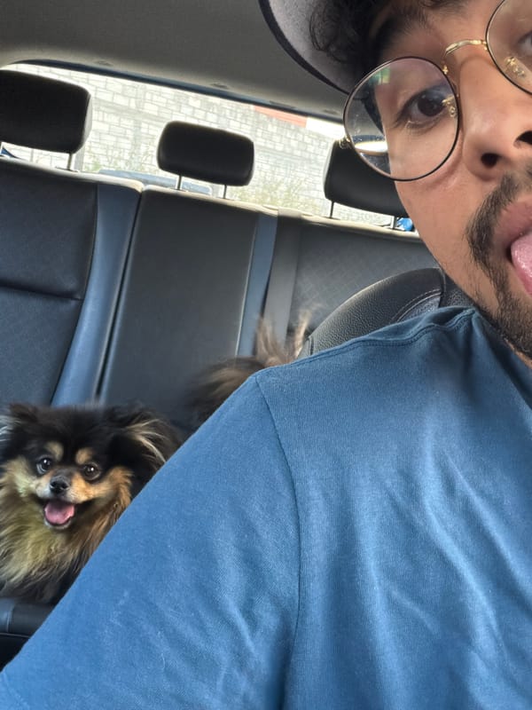Man and dog captured in casual car moment in Cuautla