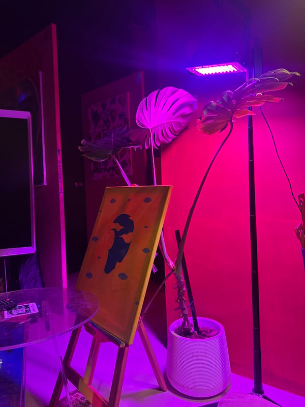 House party with DJs and disco lights in Si Sunthon