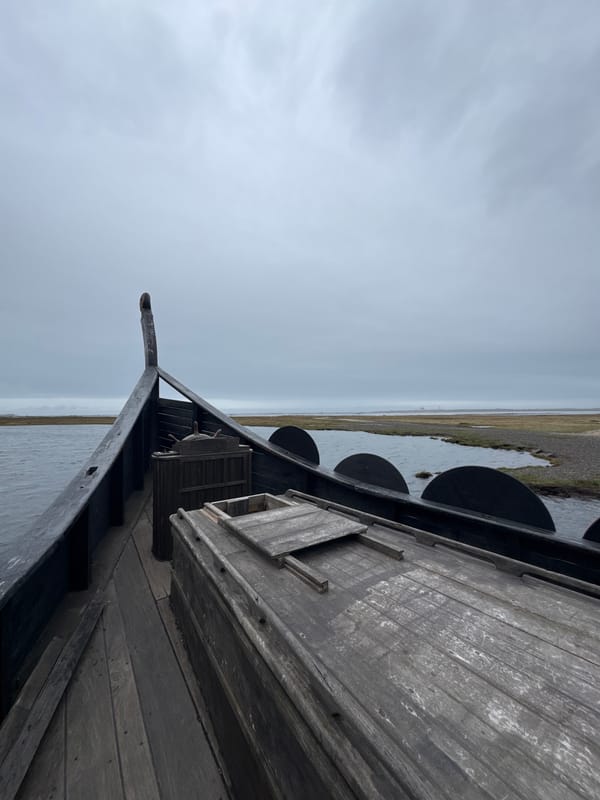 Viking ship replica spotted docked in Icelandic fjord