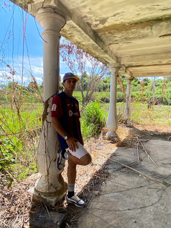 Cat spotted exploring fallen log and tree in Venezuelan village