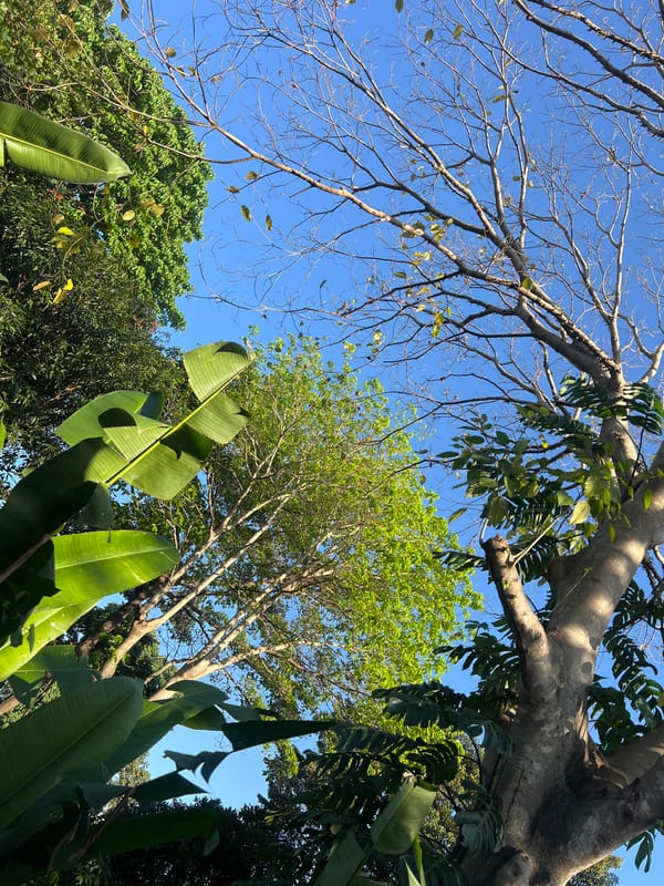 Tropical outdoor scenes documented in North Kuta, Indonesia