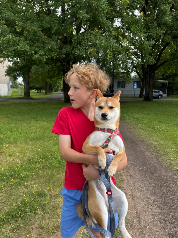 Holding a Shiba Inu in Carnikava, Latvia