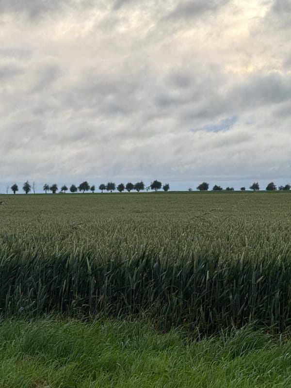 Quiet countryside moment captured in Moyvillers, France