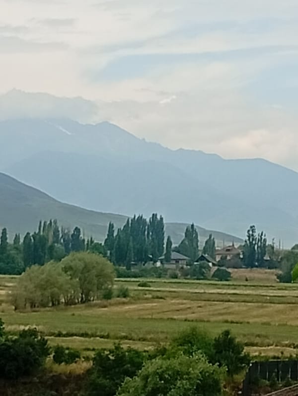 Overcast morning in Arashan's mountain valleys and forest trails