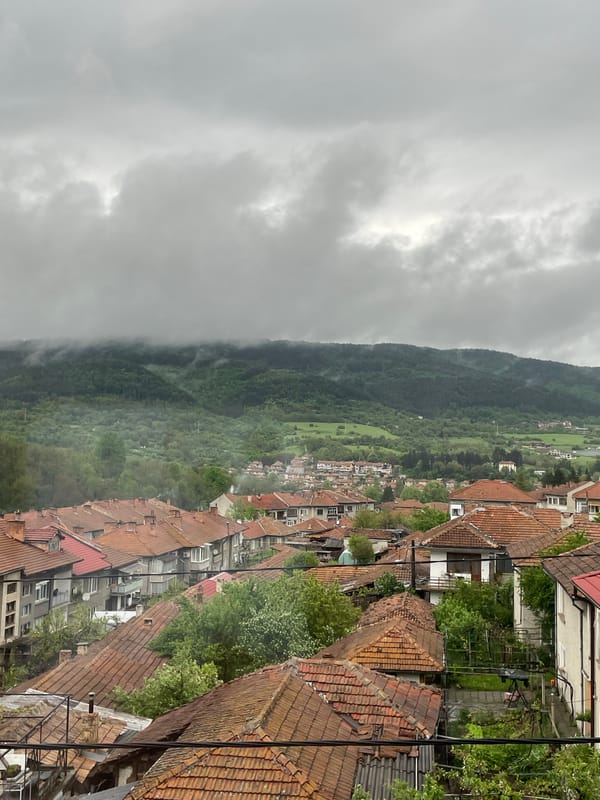 Artist documents Elena, Bulgaria townscape and local artwork