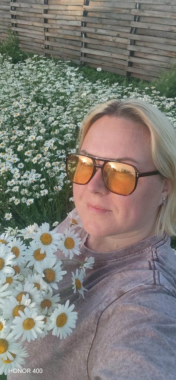 Daisy field in rural Noviy draws attention in summer bloom
