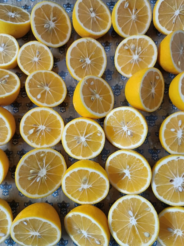 Sliced lemons documented on patterned surface in Abkhazia