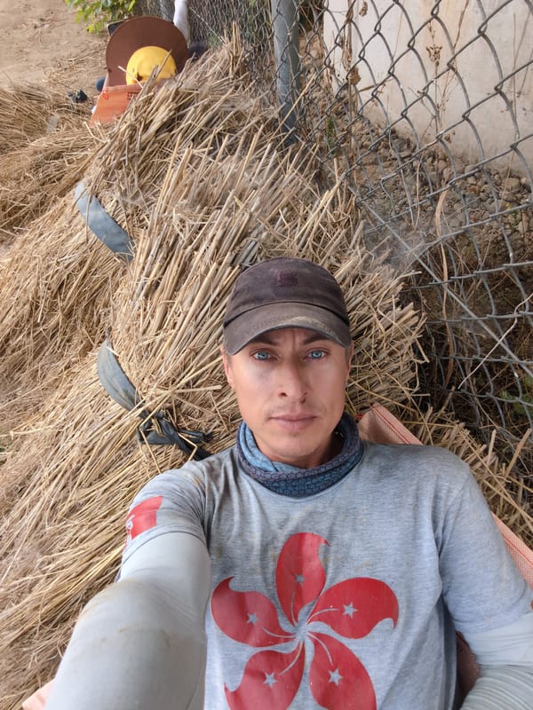 Person rests on straw near fence in rural South Korea