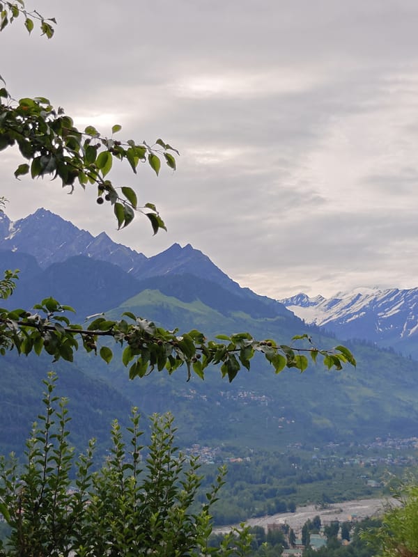 Wandering Vashisht's trails amid forests and Himalayan peaks