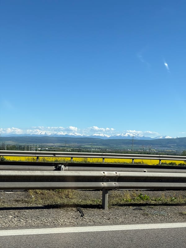 Highway traveler captures roadside landscape near Eleshnitsa, Bulgaria