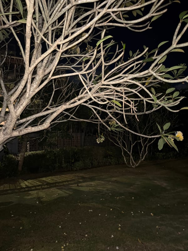 Nighttime resort life captured in Kuta Selatan Indonesia