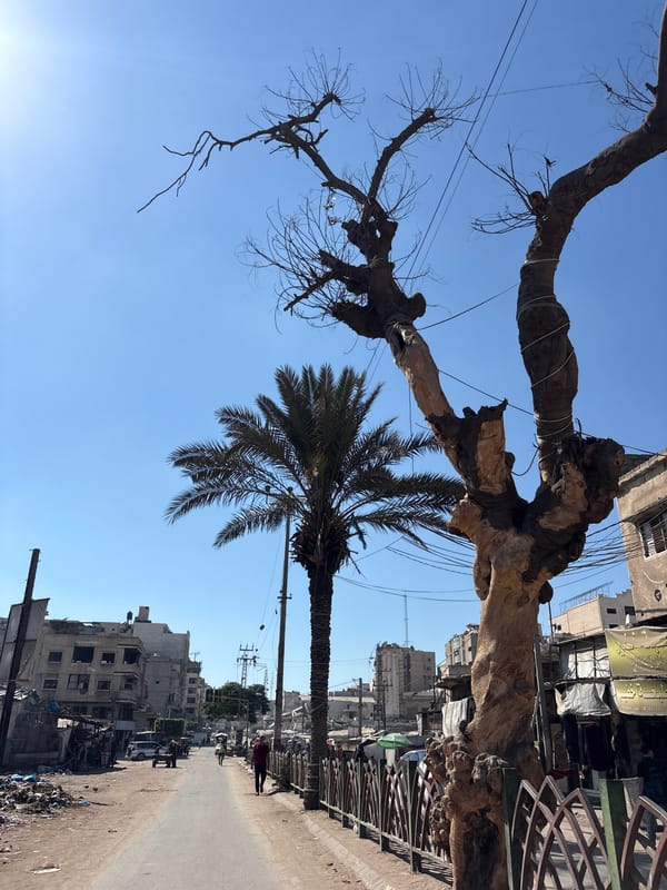 Street scenes and a busy market in midday Gaza