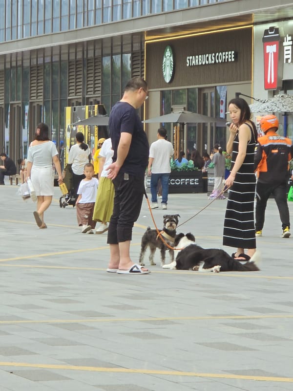 Dumpling making and street scenes in Xiaoshan District