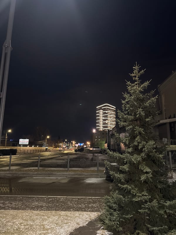 Krasnoyarsk cityscape and Corgi documented in afternoon memories