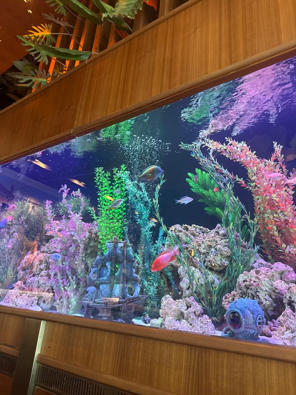 Decorated aquarium with fish observed at public location