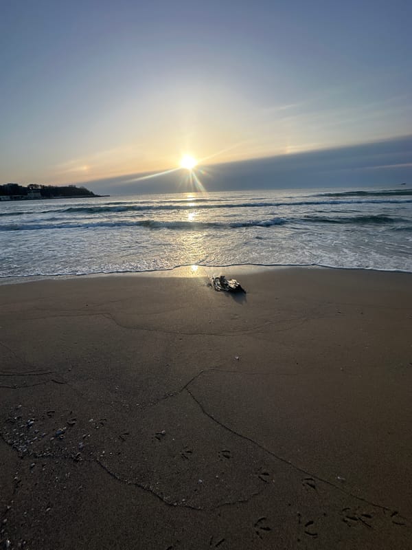 Dawn sequence captured at Kiten Beach, Bulgaria over four minutes