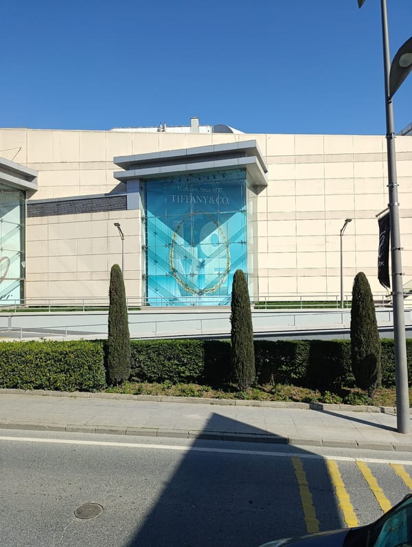 Tiffany store and commercial buildings observed in Sarıyer, Turkey