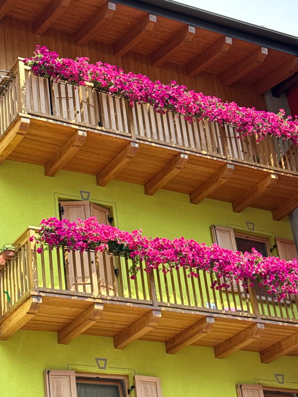 Molveno lakeside afternoon: turquoise water, cable cars, and a swimming dog
