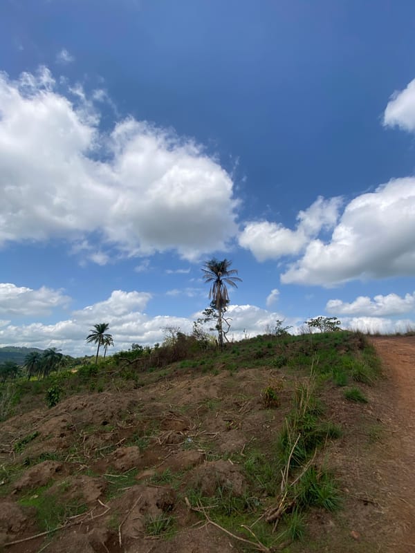 Rural life documented in Achara, Nigeria countryside