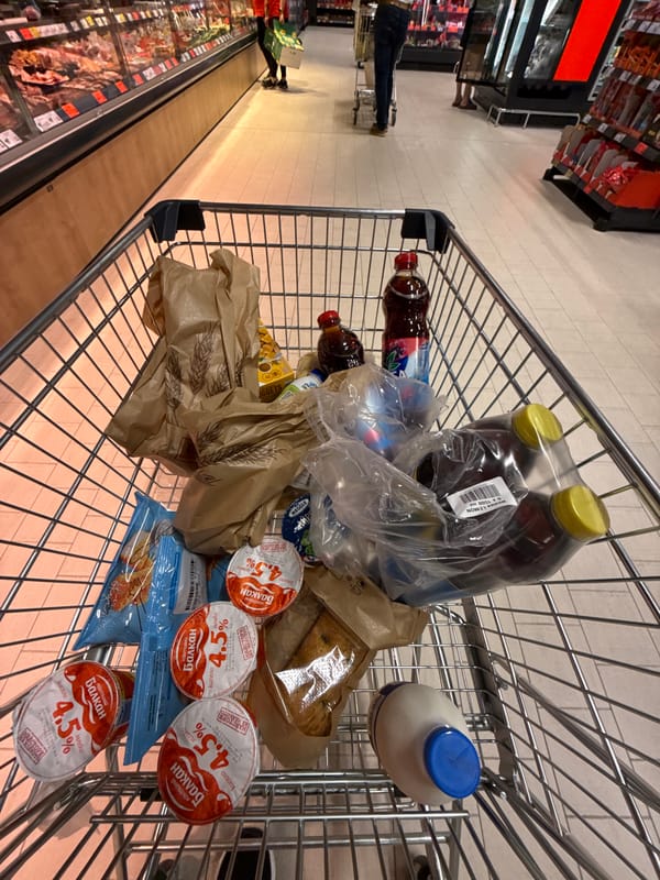 Routine grocery shopping documented at Vratsa supermarket