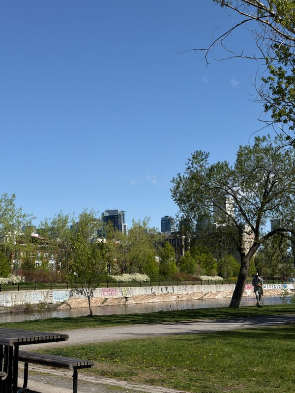 Dog walker enjoys afternoon stroll along Montreal's Lachine Canal