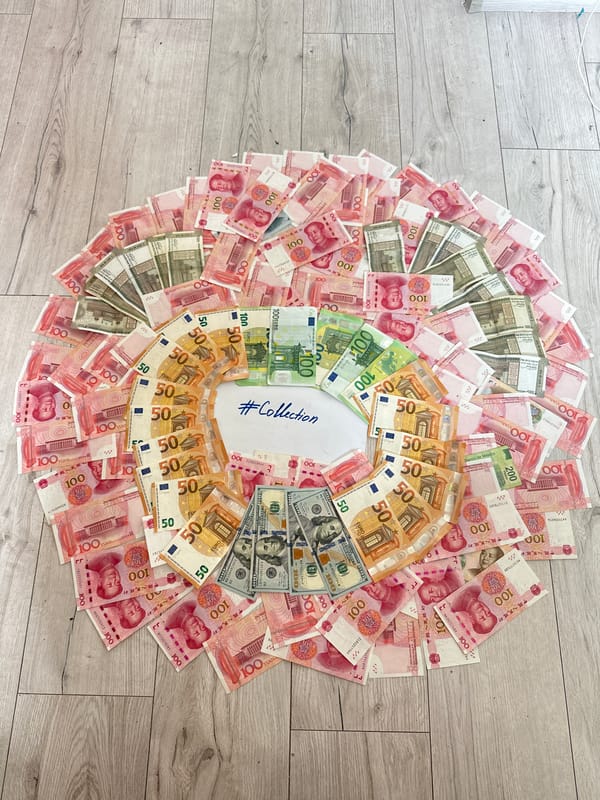 Riga resident documents personal collection of currencies, manga, cosmetics