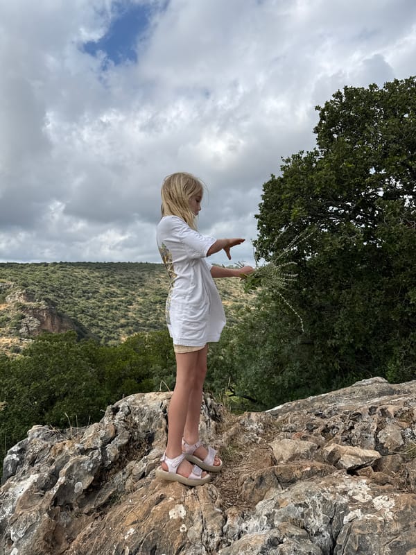 Woman with foliage observed on rocky precipice in northern Israel