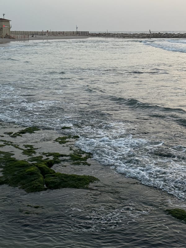 Ordinary afternoon moments captured along Tel Aviv's Mediterranean coast