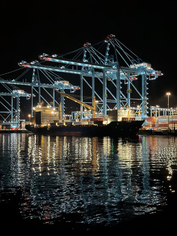 Evening gathering captured at Rijeka port waterfront