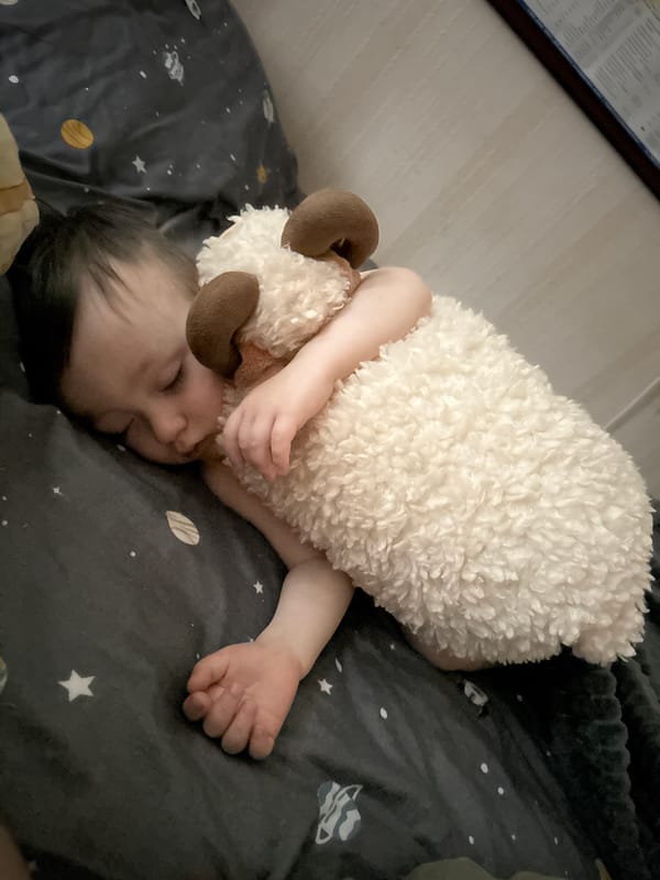 Family photos captured during morning hours in Izhevsk