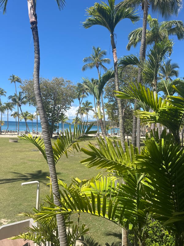 Tropical beach scenes documented in Sainte-Anne, France