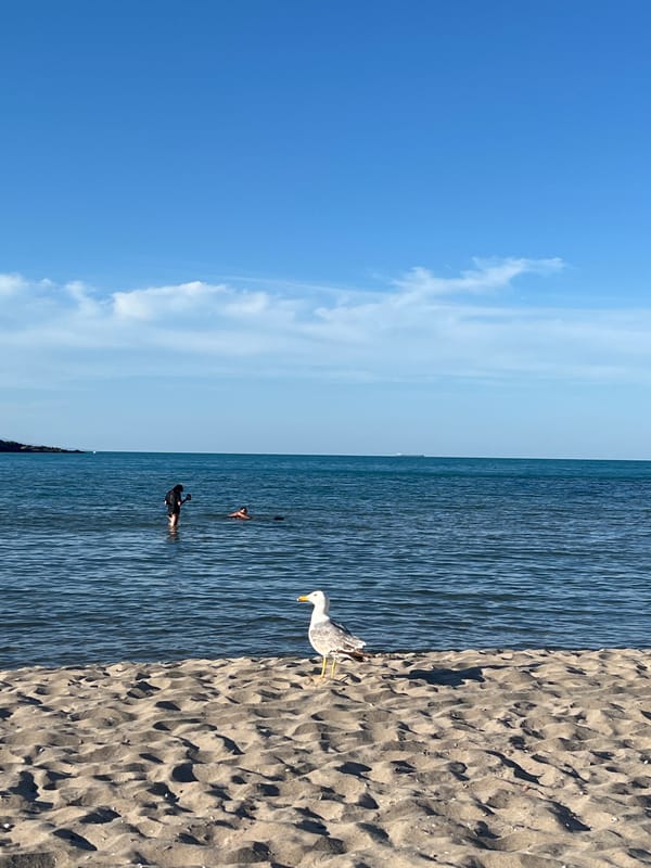 Summer afternoon documented at Sozopol Bulgaria beaches and marina