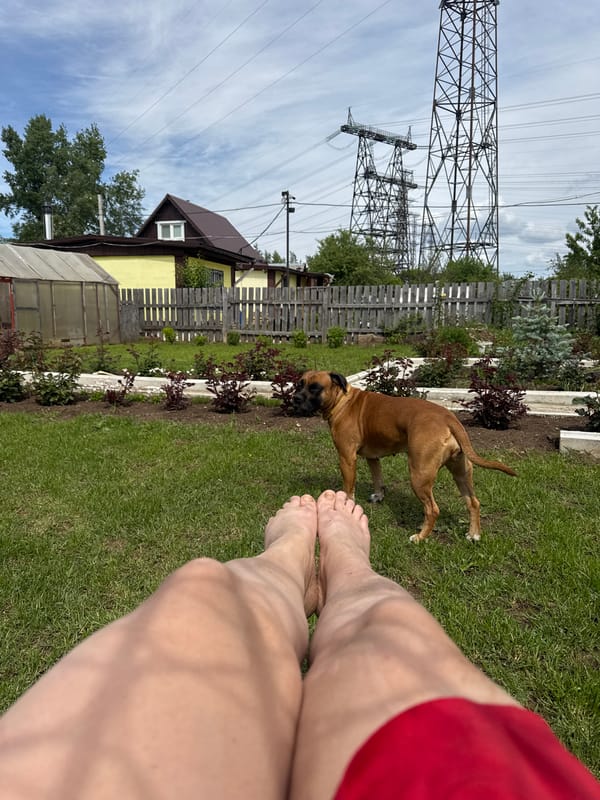 Woman and dog share quiet morning moments in Chaikovsky