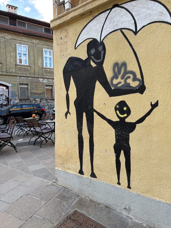 Afternoon street life documented across Ljubljana's historic center