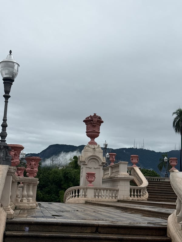 Visitor documents Rio park wildlife and landscapes during overcast afternoon