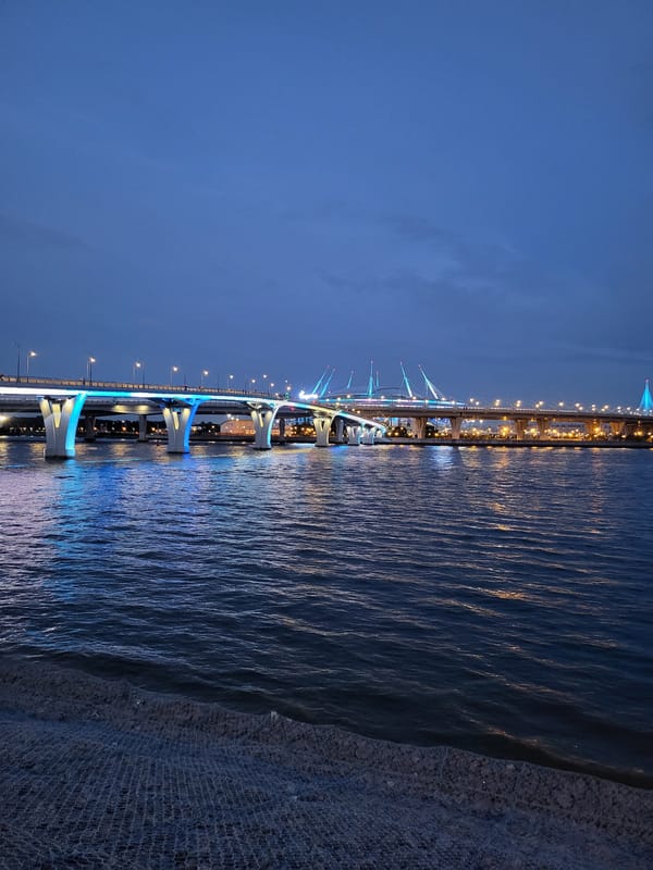Saint Petersburg's WHSD and Gazprom Arena lit up at night