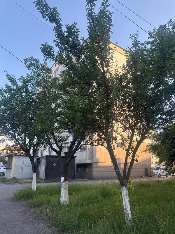 Afternoon walk documented in suburban Kostinbrod, Bulgaria