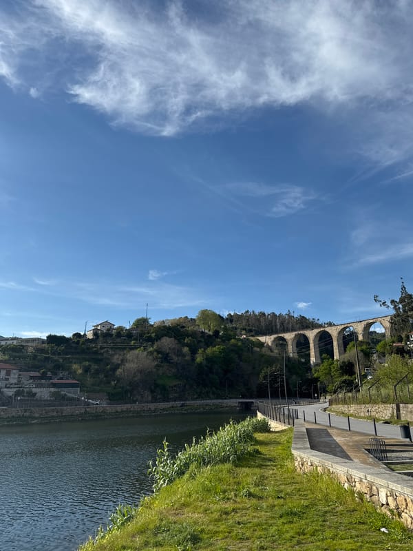 Sunny afternoon views captured along Douro River in Baião