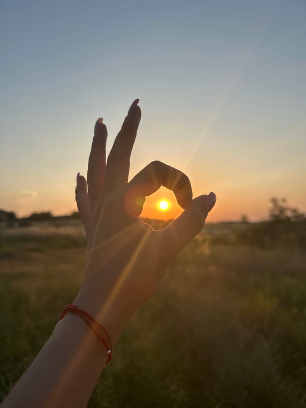 Golden hour field session with a dog and sunset shots