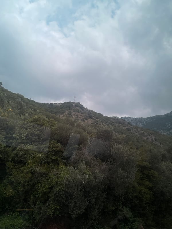 Urban journey documented through mountains, trains, buildings over morning hours