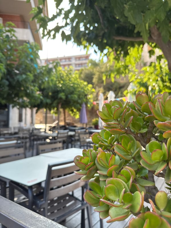 Summer morning stroll through the streets and gardens of Blanes