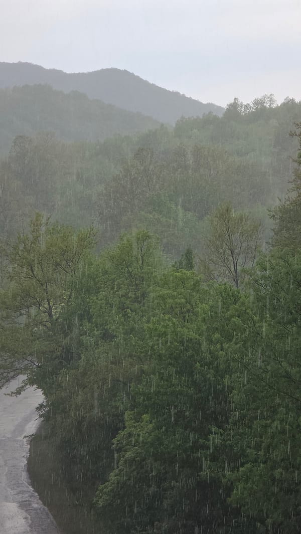 Mixed precipitation hits forested mountains near Gabrovo, Bulgaria